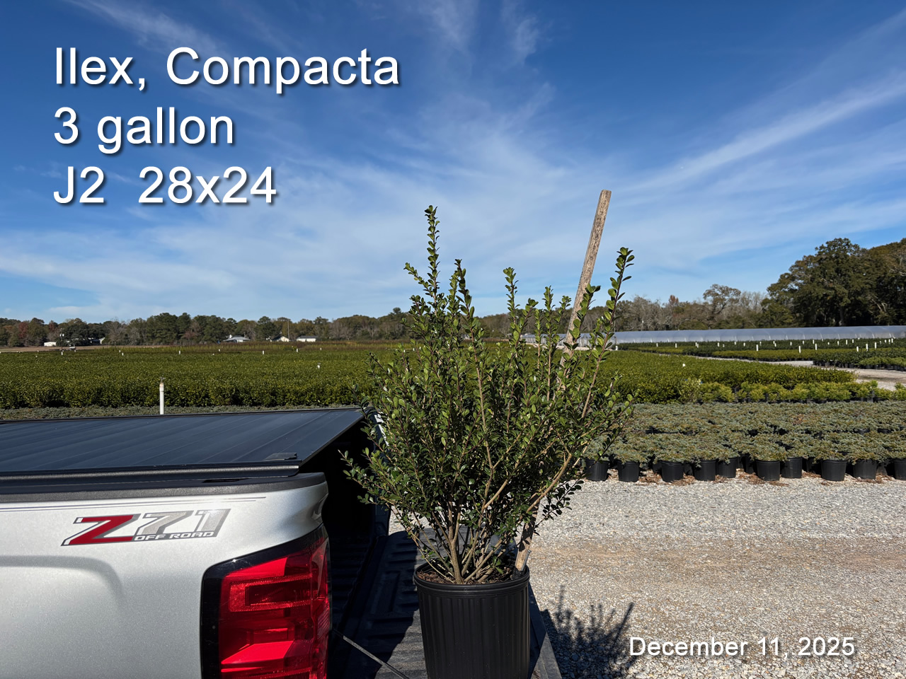 gallery/comp3 j2not dec11.jpg